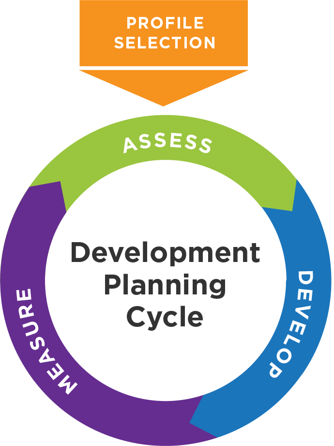 Competency Development Framework and Planning Cycle