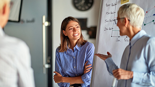 Key Factors of Project Preparation The business analyst taking a lead role in identifying, defining, and documenting requirements.