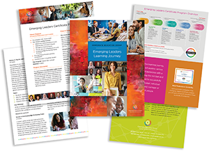 Emerging Leaders Learning Journey Brochure