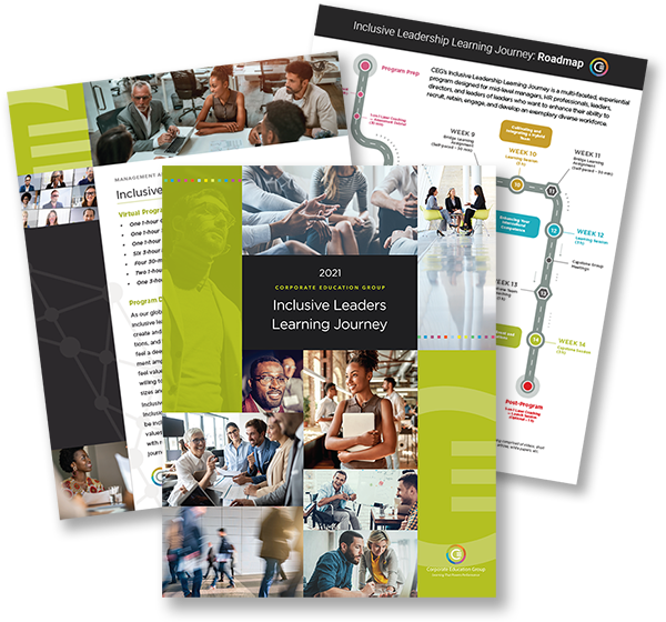 Inclusive Leadership Learning Journey