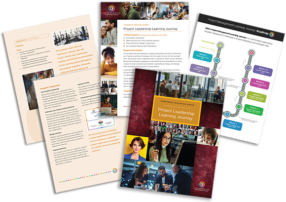 Project Leadership Learning Journey Brochure